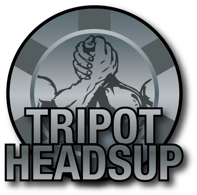 Lire la suite à propos de l’article Tripot Head’s Cup 2014 : Le Cyborg détrône la championne !!