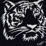 Illustration du profil de Tiger
